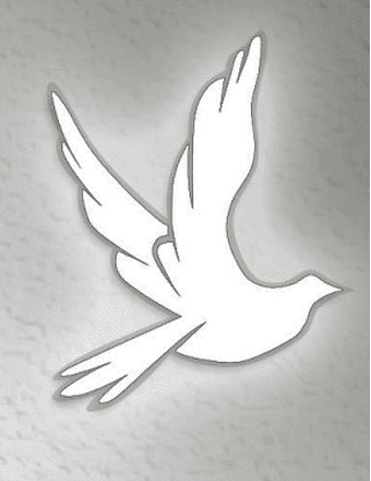 Thomas Roy Wright Obituary