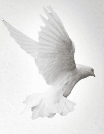 Jacquelyn (Case) Frederick Obituary